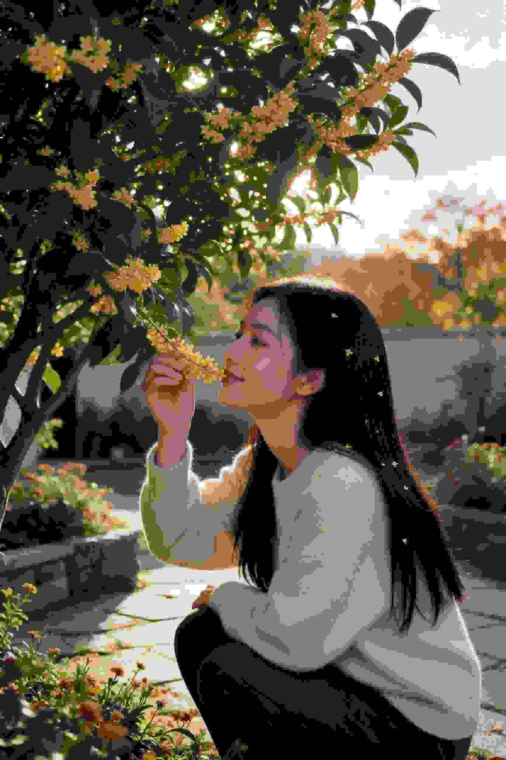 出包王女